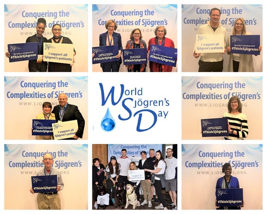 2019 WSD collage - 1